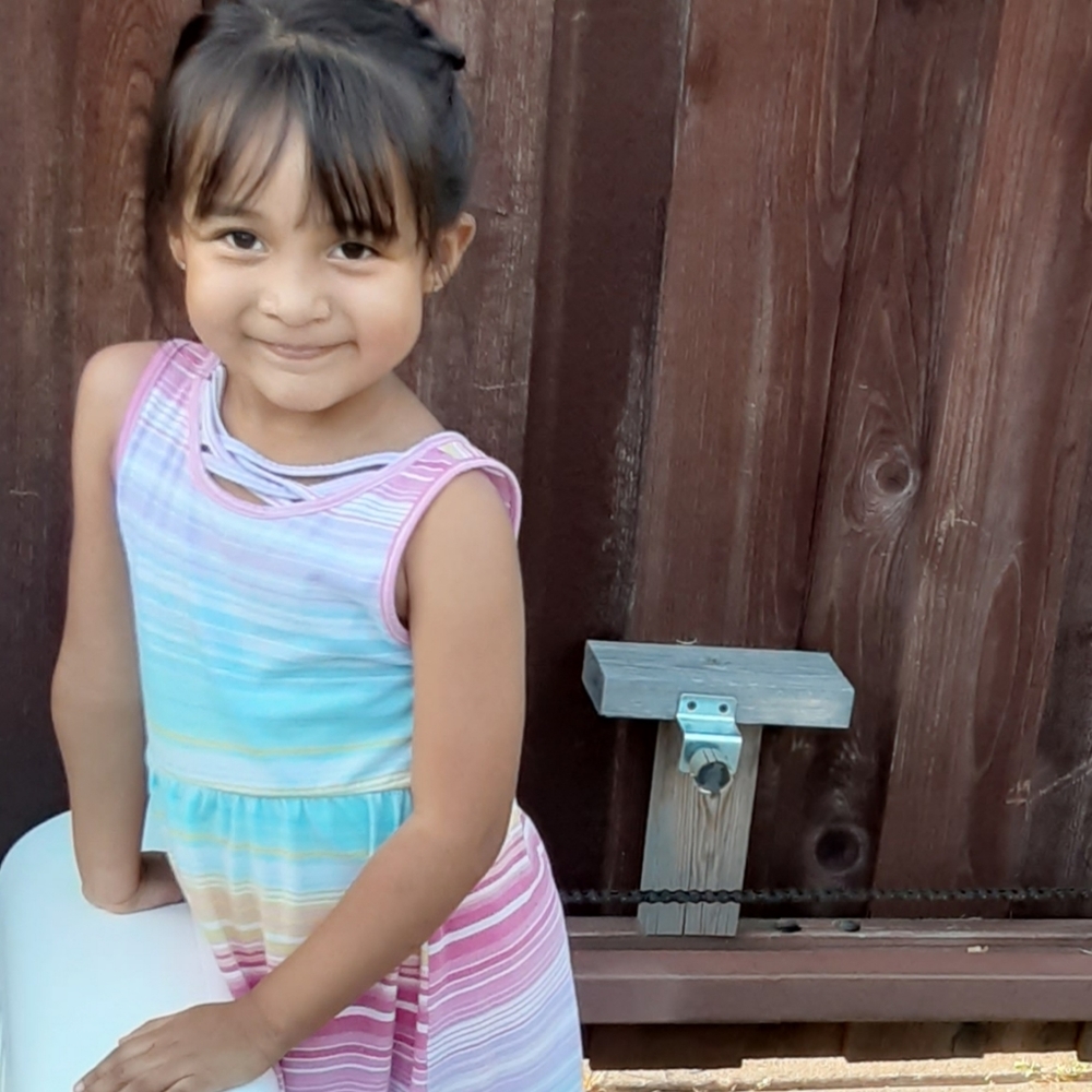 Toddler girl dress